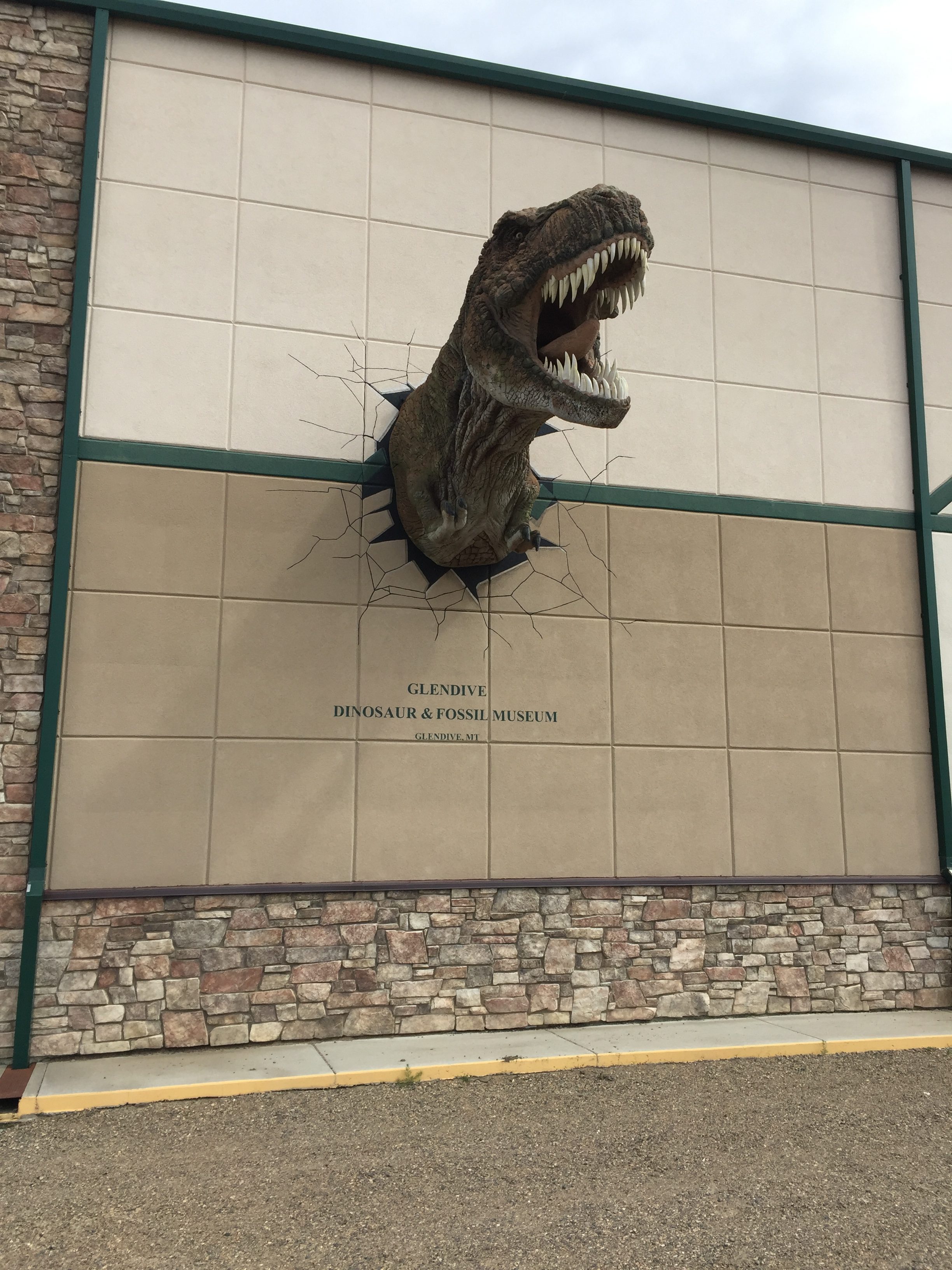 local dinosaur museum